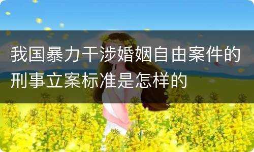 我国暴力干涉婚姻自由案件的刑事立案标准是怎样的