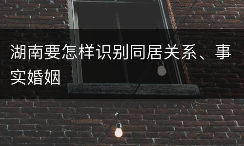 湖南要怎样识别同居关系、事实婚姻