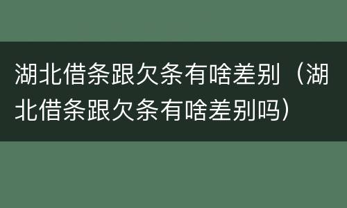 湖北借条跟欠条有啥差别（湖北借条跟欠条有啥差别吗）