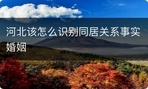 河北该怎么识别同居关系事实婚姻