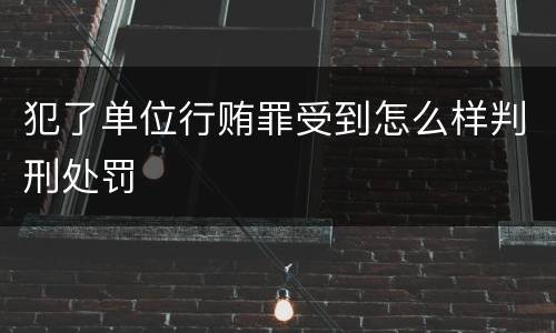 犯了单位行贿罪受到怎么样判刑处罚