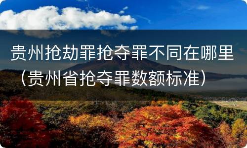 贵州抢劫罪抢夺罪不同在哪里（贵州省抢夺罪数额标准）
