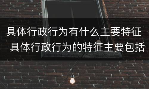 具体行政行为有什么主要特征 具体行政行为的特征主要包括