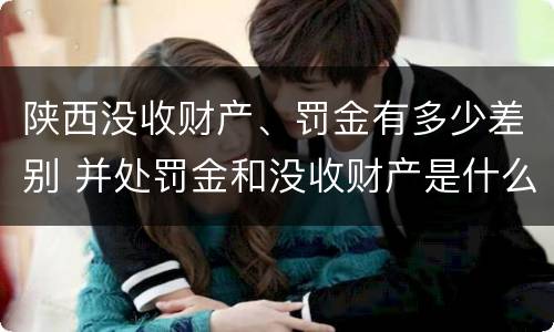 陕西没收财产、罚金有多少差别 并处罚金和没收财产是什么意思