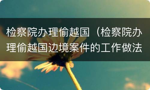 检察院办理偷越国（检察院办理偷越国边境案件的工作做法）