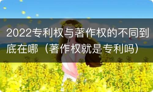 2022专利权与著作权的不同到底在哪（著作权就是专利吗）