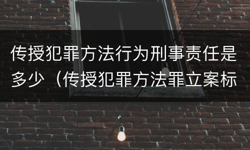 传授犯罪方法行为刑事责任是多少（传授犯罪方法罪立案标准）