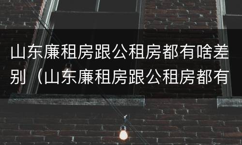 山东廉租房跟公租房都有啥差别（山东廉租房跟公租房都有啥差别吗）