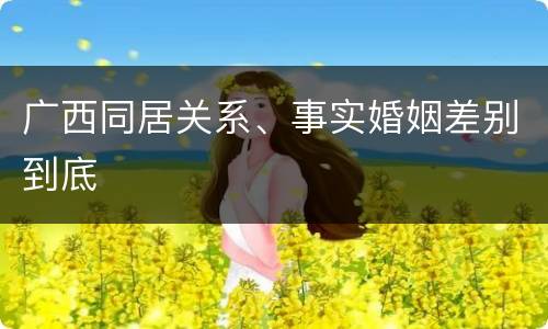 广西同居关系、事实婚姻差别到底