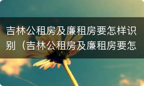 吉林公租房及廉租房要怎样识别（吉林公租房及廉租房要怎样识别真假）