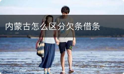 内蒙古怎么区分欠条借条
