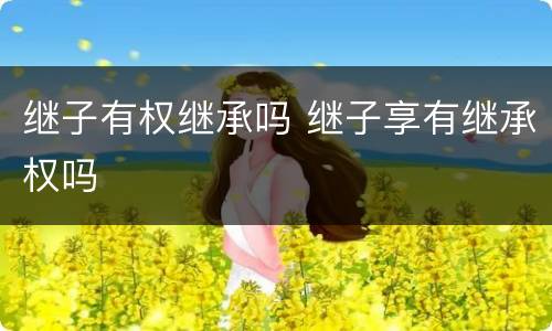 继子有权继承吗 继子享有继承权吗