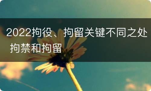 2022拘役、拘留关键不同之处 拘禁和拘留