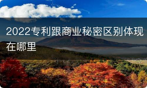 2022专利跟商业秘密区别体现在哪里