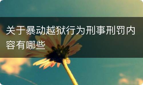 关于暴动越狱行为刑事刑罚内容有哪些