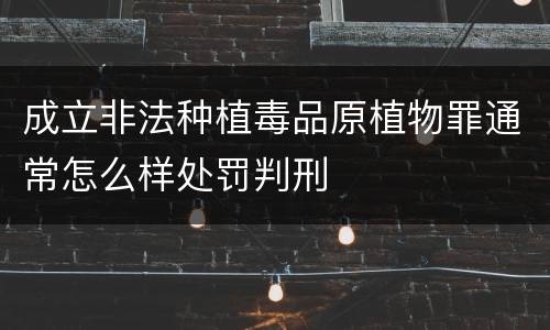 成立非法种植毒品原植物罪通常怎么样处罚判刑