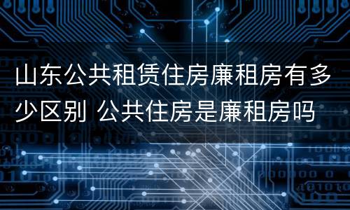 山东公共租赁住房廉租房有多少区别 公共住房是廉租房吗