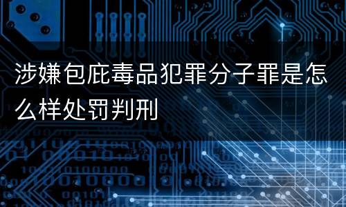 涉嫌包庇毒品犯罪分子罪是怎么样处罚判刑