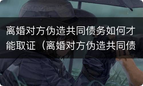 离婚对方伪造共同债务如何才能取证（离婚对方伪造共同债务如何才能取证起诉）