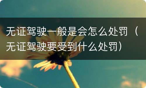 无证驾驶一般是会怎么处罚（无证驾驶要受到什么处罚）