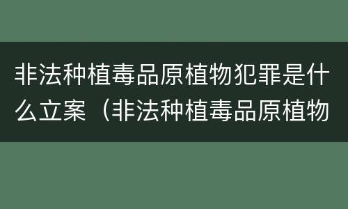 非法种植毒品原植物犯罪是什么立案（非法种植毒品原植物犯罪是什么立案标准）