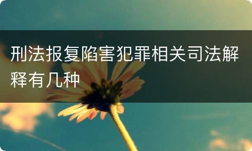 刑法报复陷害犯罪相关司法解释有几种