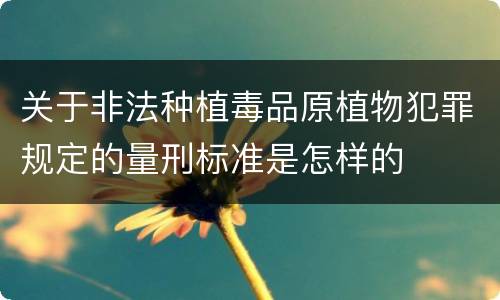 关于非法种植毒品原植物犯罪规定的量刑标准是怎样的