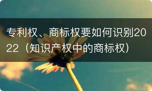 专利权、商标权要如何识别2022（知识产权中的商标权）