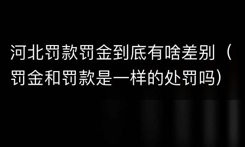 河北罚款罚金到底有啥差别（罚金和罚款是一样的处罚吗）