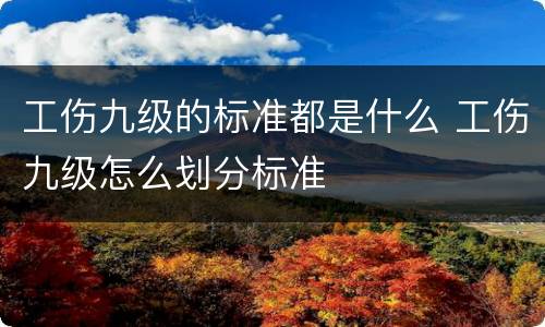 工伤九级的标准都是什么 工伤九级怎么划分标准