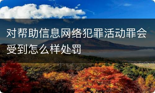 对帮助信息网络犯罪活动罪会受到怎么样处罚
