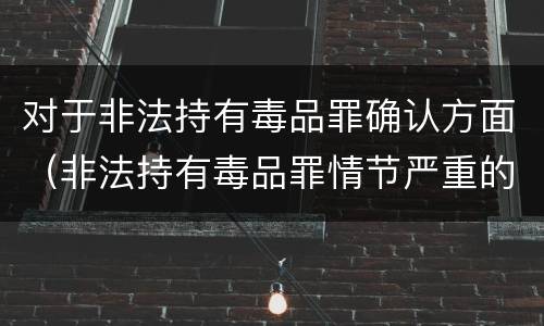 对于非法持有毒品罪确认方面（非法持有毒品罪情节严重的认定）