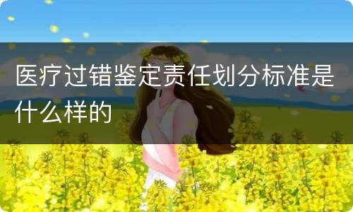 医疗过错鉴定责任划分标准是什么样的