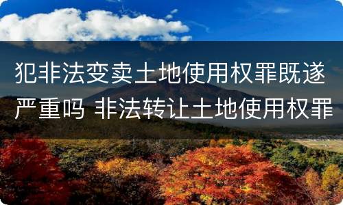 犯非法变卖土地使用权罪既遂严重吗 非法转让土地使用权罪是行为犯还是结果犯
