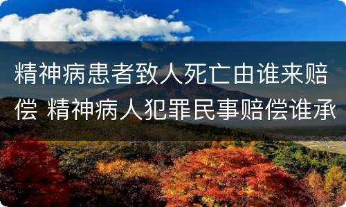 精神病患者致人死亡由谁来赔偿 精神病人犯罪民事赔偿谁承担