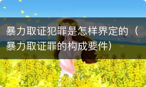 暴力取证犯罪是怎样界定的（暴力取证罪的构成要件）