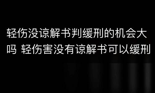 轻伤没谅解书判缓刑的机会大吗 轻伤害没有谅解书可以缓刑吗