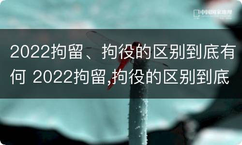 2022拘留、拘役的区别到底有何 2022拘留,拘役的区别到底有何不同