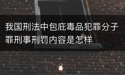 我国刑法中包庇毒品犯罪分子罪刑事刑罚内容是怎样