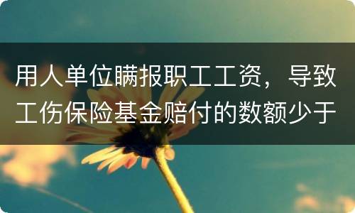 用人单位瞒报职工工资，导致工伤保险基金赔付的数额少于职工应当享受的标准的怎么办