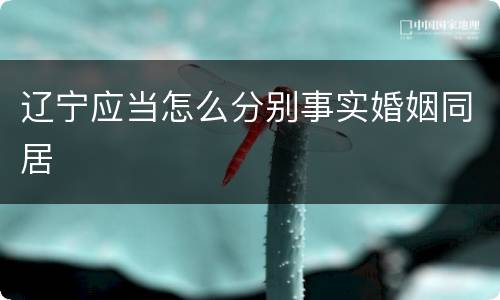 辽宁应当怎么分别事实婚姻同居