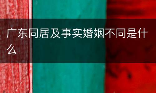 广东同居及事实婚姻不同是什么