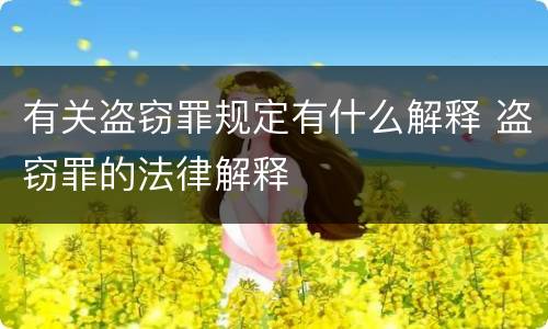 有关盗窃罪规定有什么解释 盗窃罪的法律解释