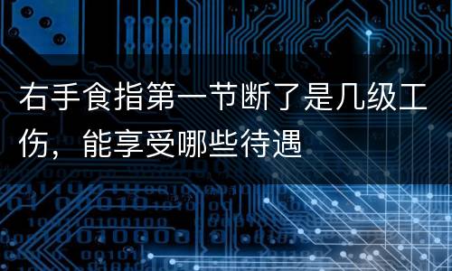 右手食指第一节断了是几级工伤，能享受哪些待遇