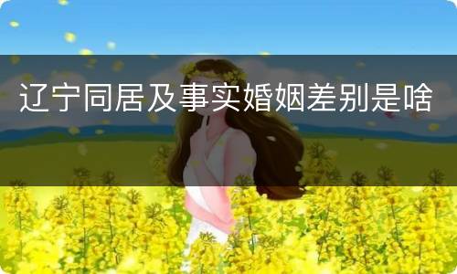 辽宁同居及事实婚姻差别是啥