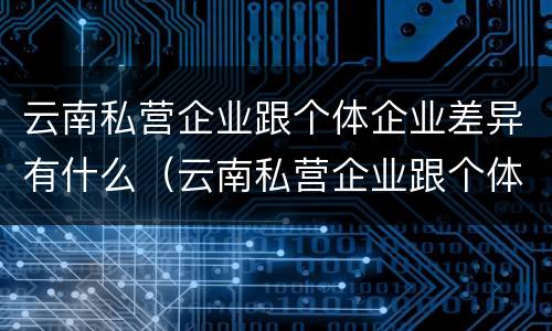 云南私营企业跟个体企业差异有什么（云南私营企业跟个体企业差异有什么区别）