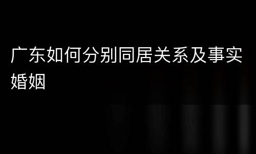 广东如何分别同居关系及事实婚姻