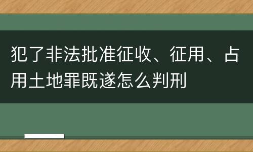 犯了非法批准征收、征用、占用土地罪既遂怎么判刑