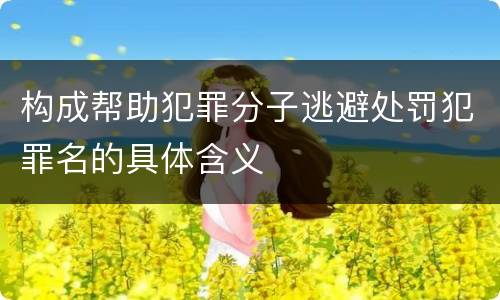 构成帮助犯罪分子逃避处罚犯罪名的具体含义