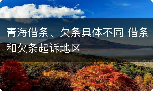 青海借条、欠条具体不同 借条和欠条起诉地区